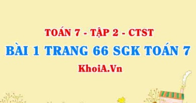 Bài 1 trang 66 SGK Toán 7 Tập 2 Chân trời sáng tạo